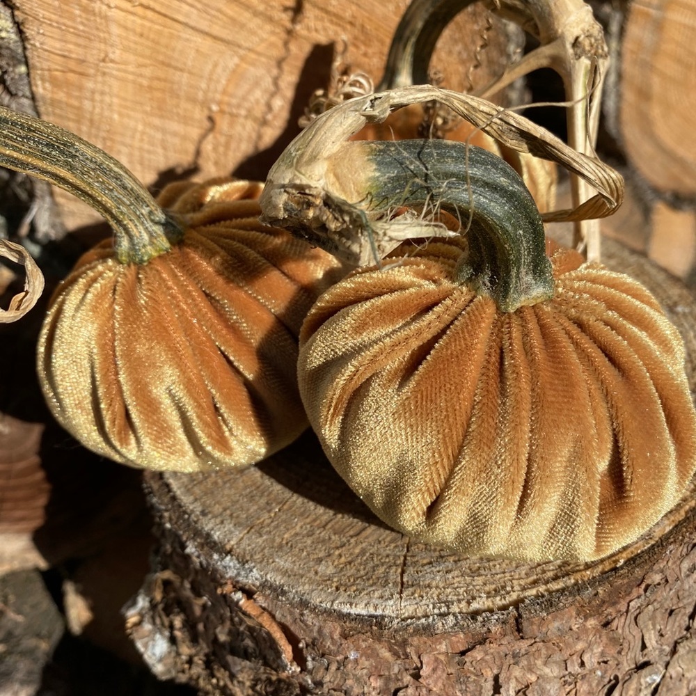 Velvet pumpkins - Picture 5 of 5